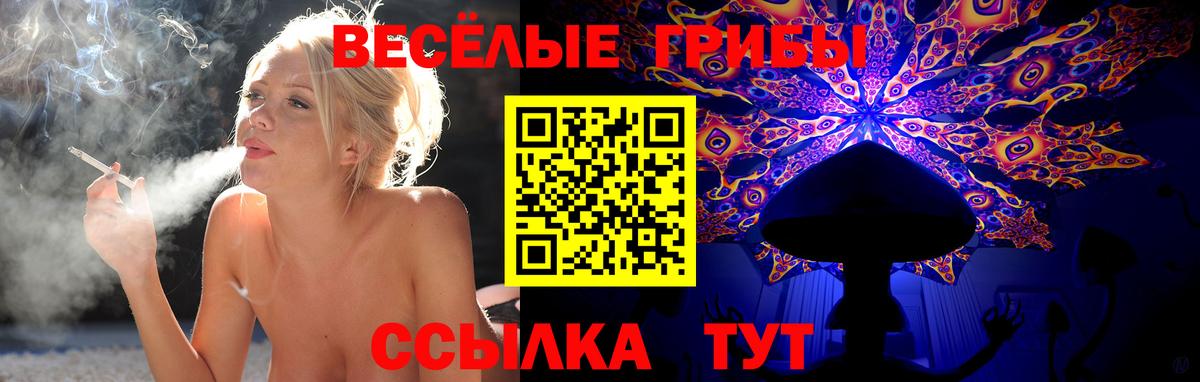 Псилоцибиновые грибы мицелий Алексин